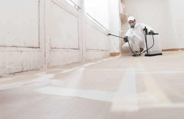 24/7 Emergency Crawl Space Mold Remediation experts in Front Royal, VA