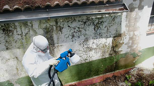 Top rated local Crawl Space Mold Remediation specialists in Front Royal, VA